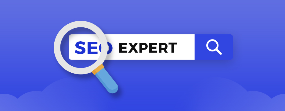 SEO Expert